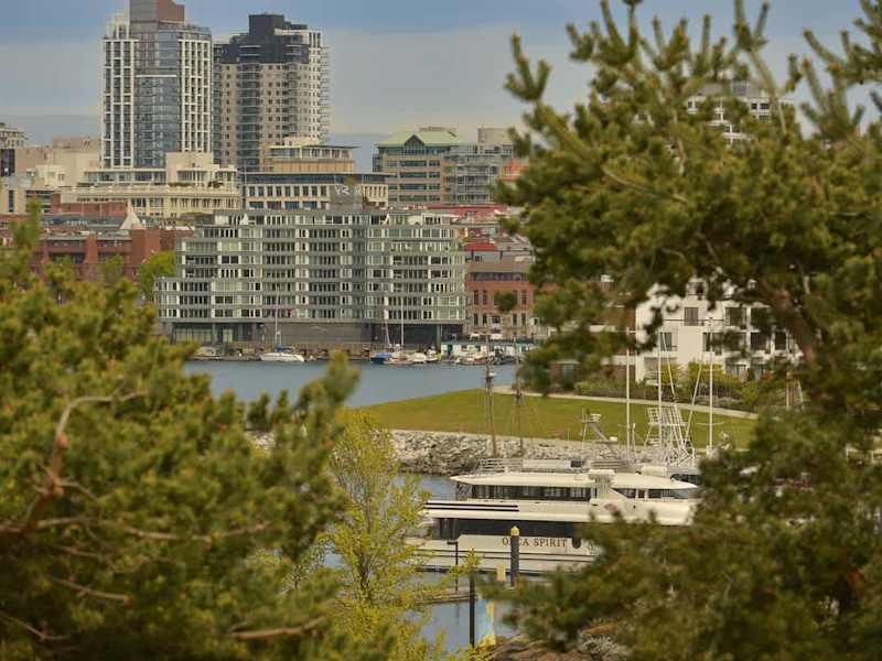 Inner Harbour balcony views. 