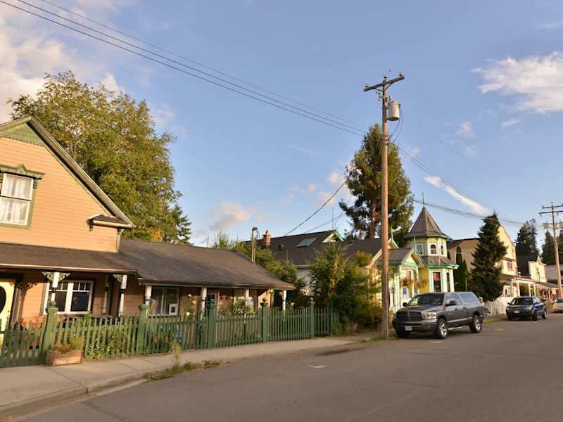 Explore the quaint shops in Chemainus.