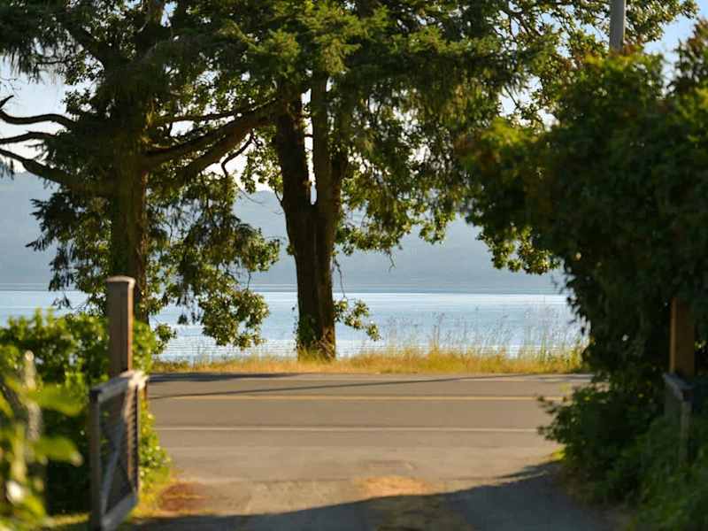 Ocean views from the front yard.