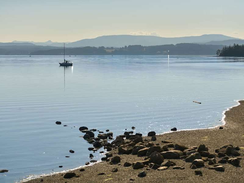 Patricia Bay beach just across the street from the cottage.