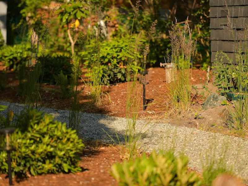 Backyard living and garden spaces.
