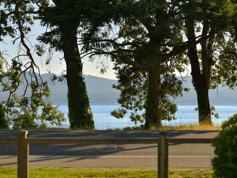 Ocean views from the front yard.