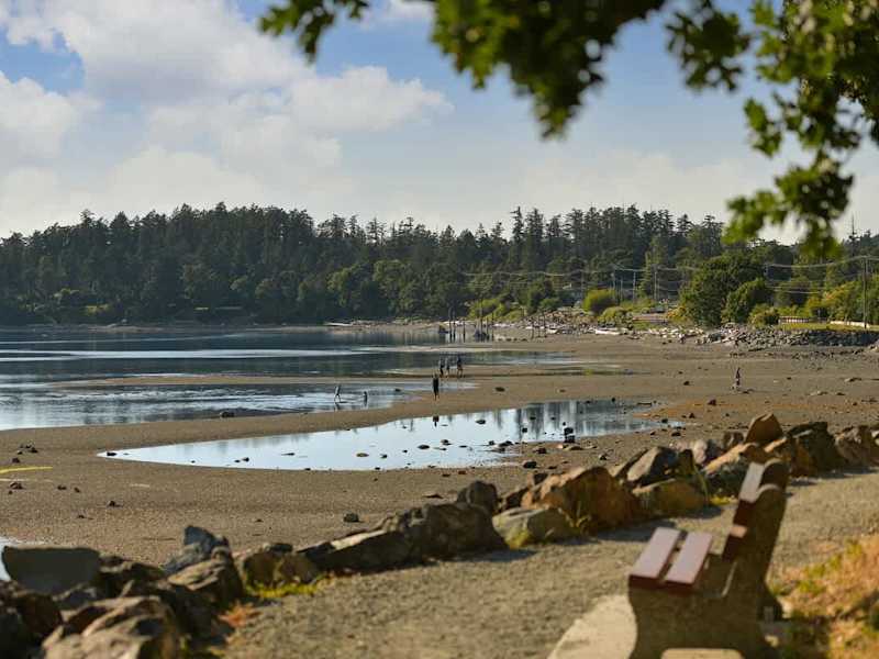 Patricia Bay beach just across the street from the cottage.