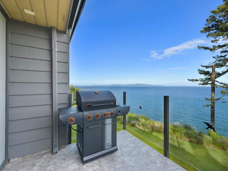 BBQ Grill on deck beside the kitchen.