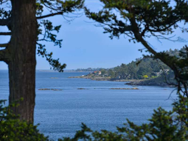Incredible views from the property.