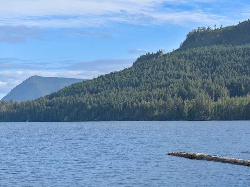 Cowichan Lake Views!