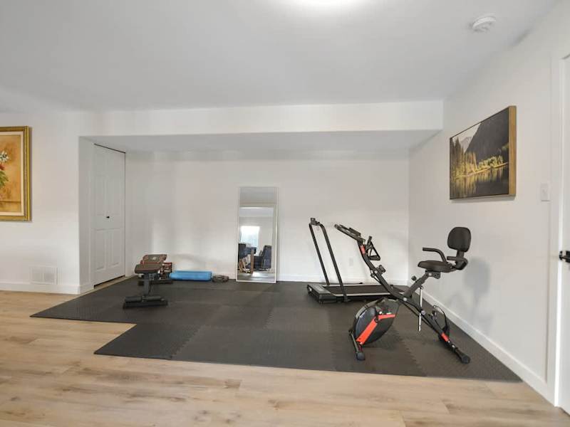 Ground level full rec-family room with workout space.