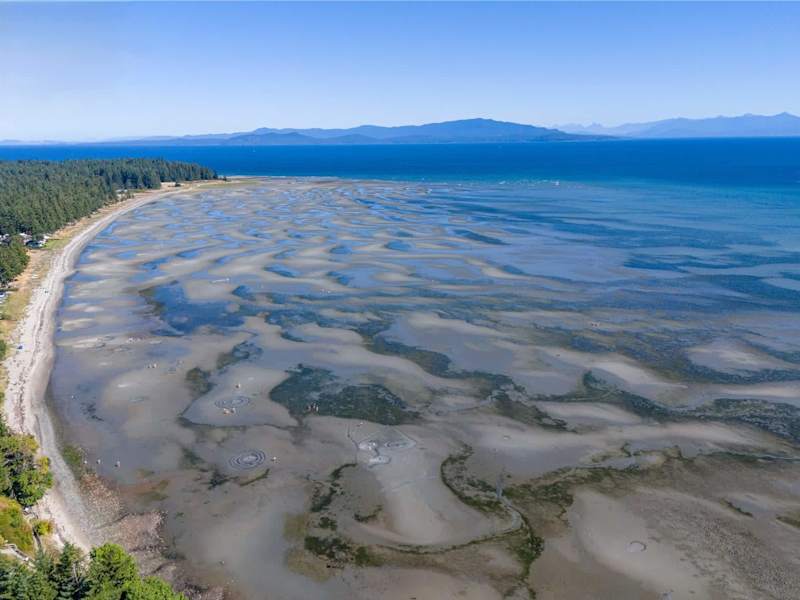 Amazing sandy beaches at Craig Bay.