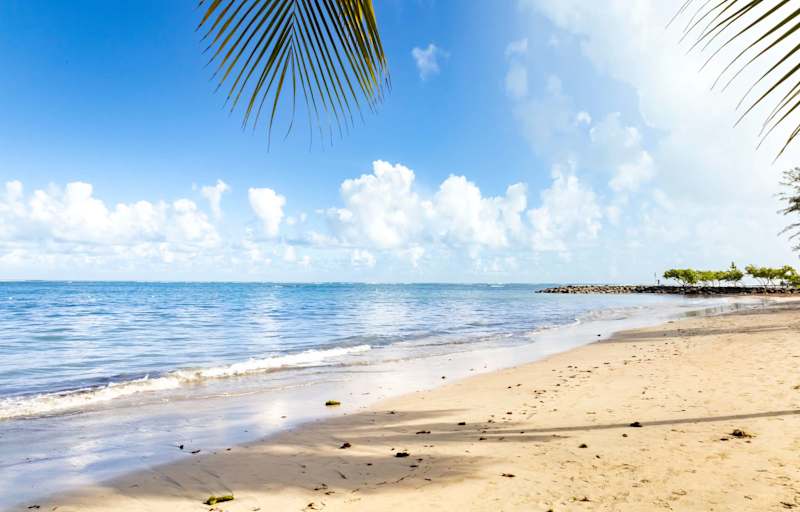 AQUA Terrazas 1 · ADA Accessible Beachfront Studio - Property photo