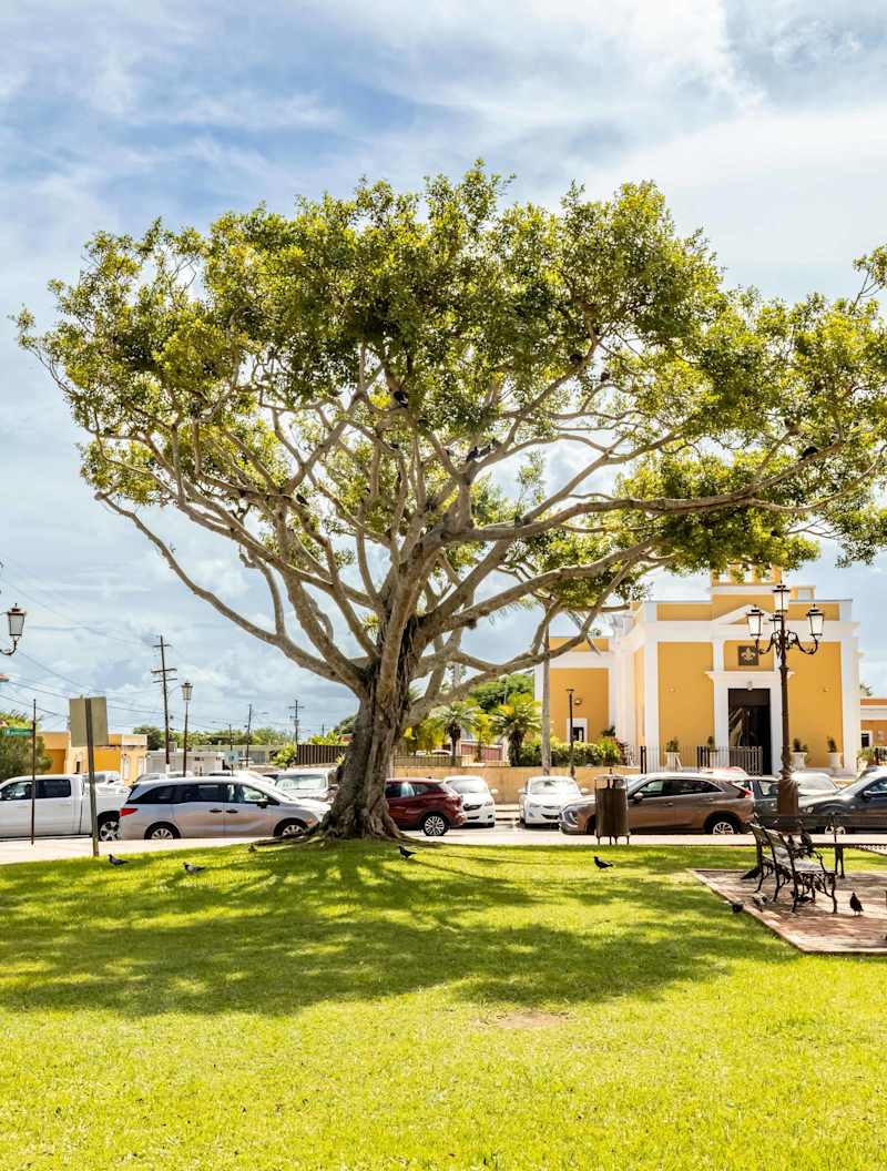 AQUA Ville Moderna 1 · Spacious 4BR with King Beds - Property photo