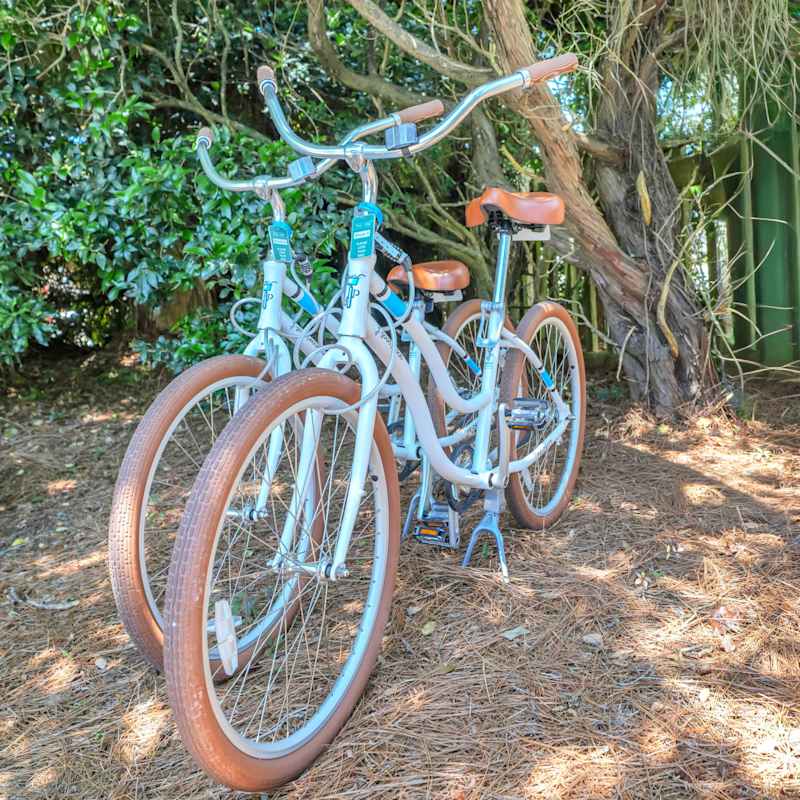 Two adult bikes included in your stay