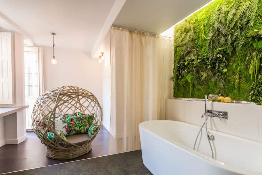 Suite Jungle