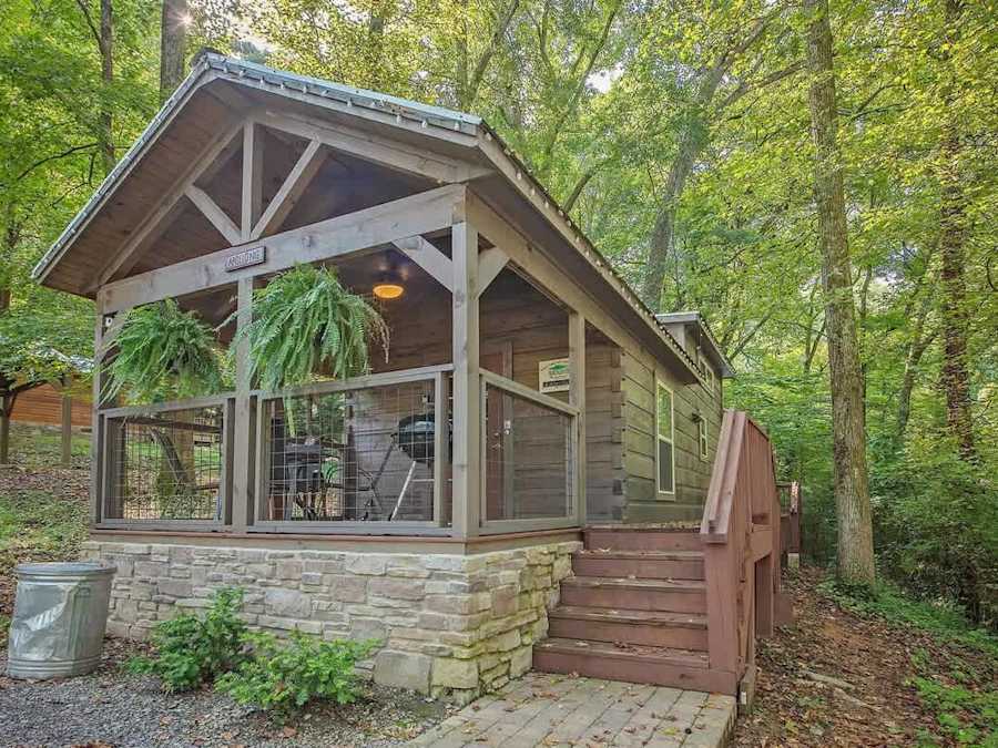 Apollonie Cabin