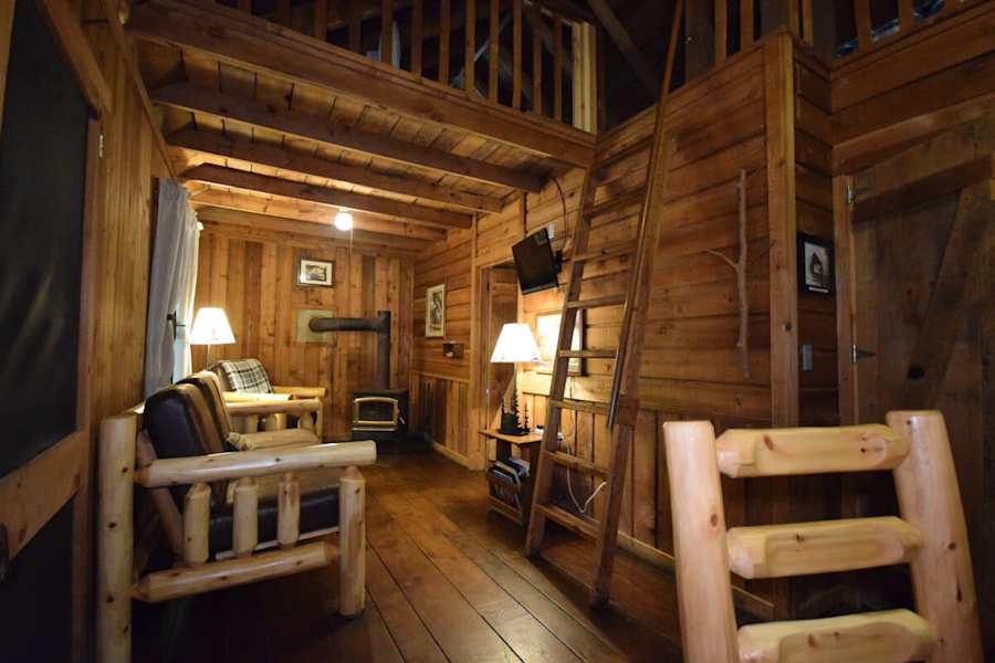 Cabin 6