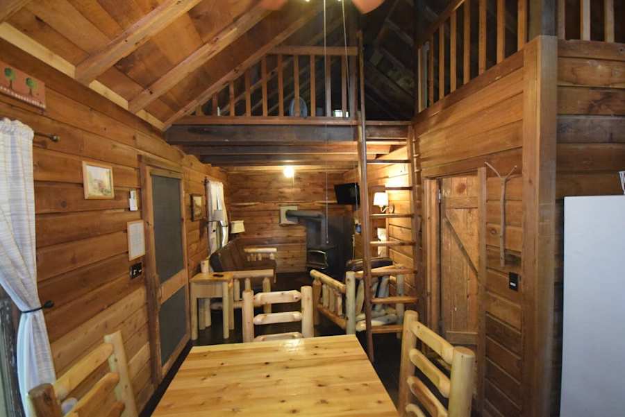 Cabin 5