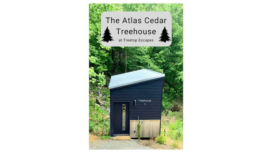 Atlas Cedar Treehouse photo 51