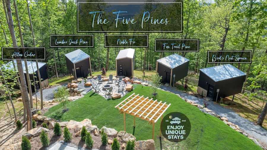The Five Pines photo 82