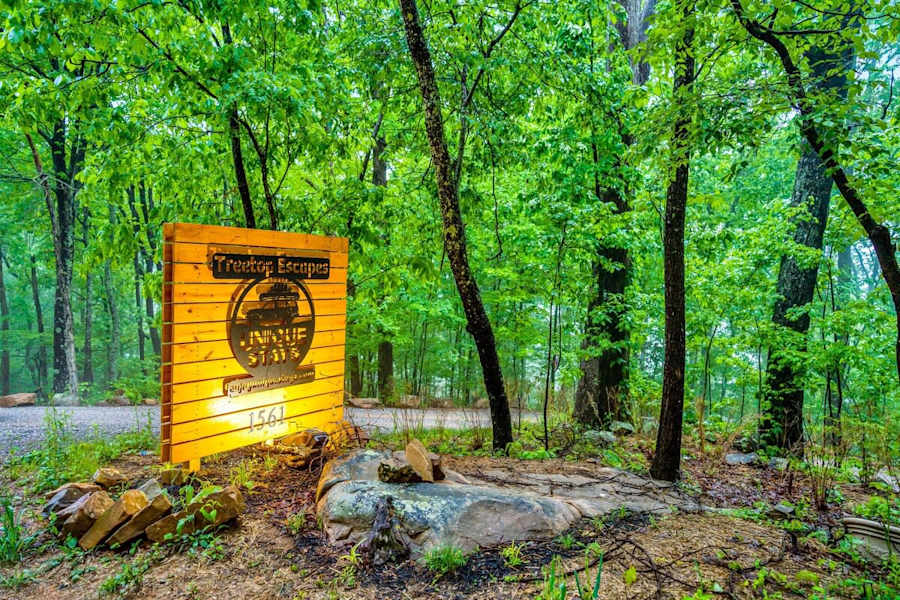 The Evergreen Treehouse photo 56
