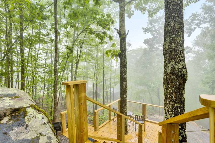 The Evergreen Treehouse photo 37