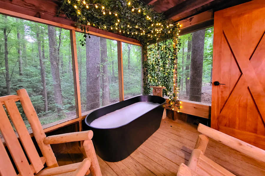 Cabin 5