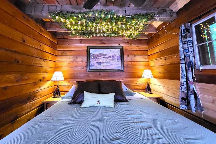 Cabin 5