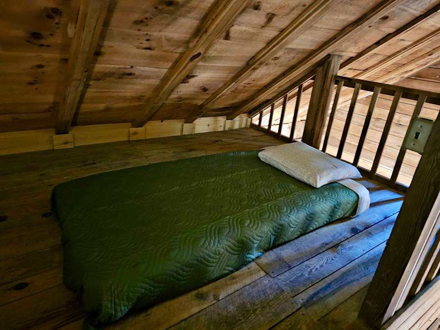 Cabin 5