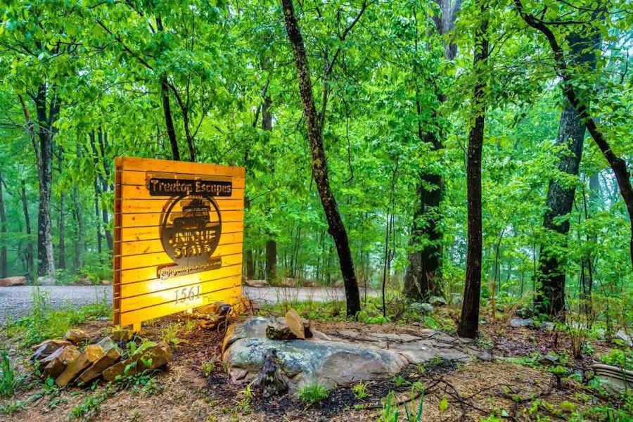 Live Oak Treehouse photo 90