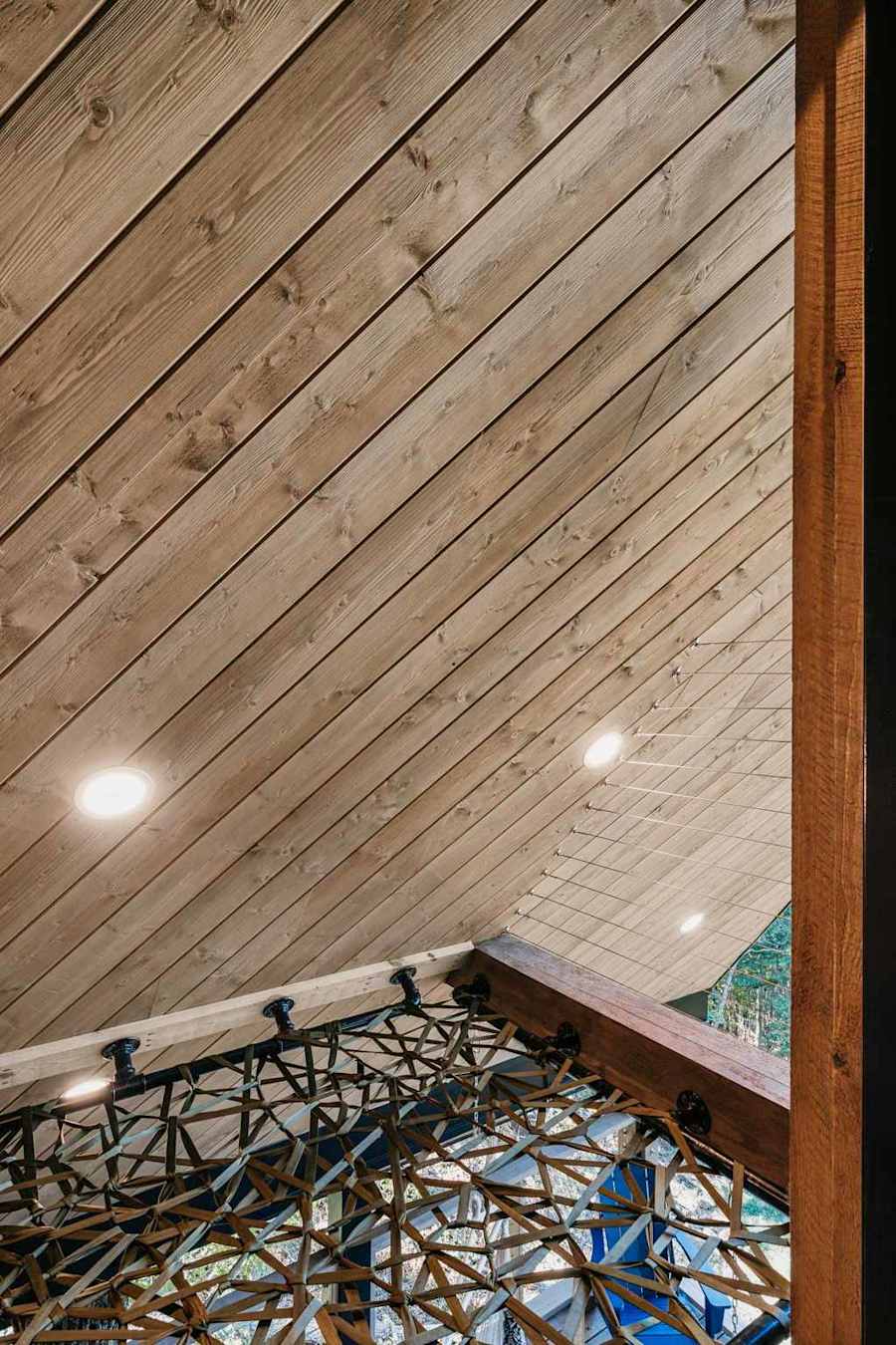 Live Oak Treehouse photo 47