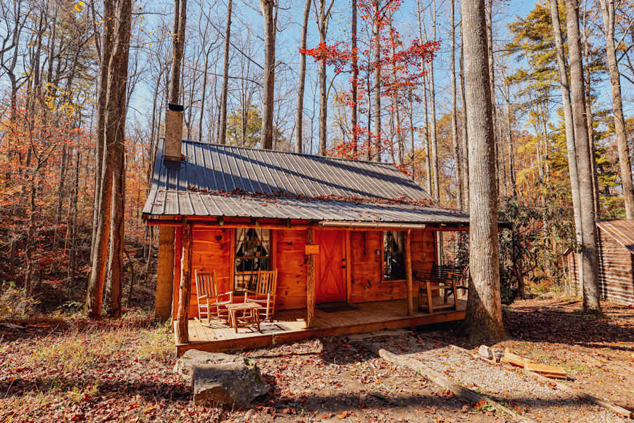 Cabin 5
