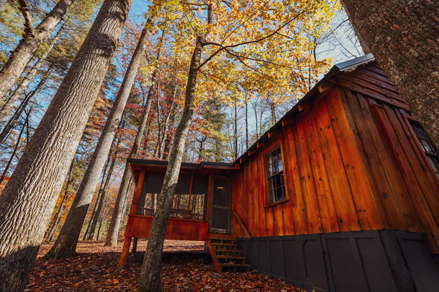 Cabin 5