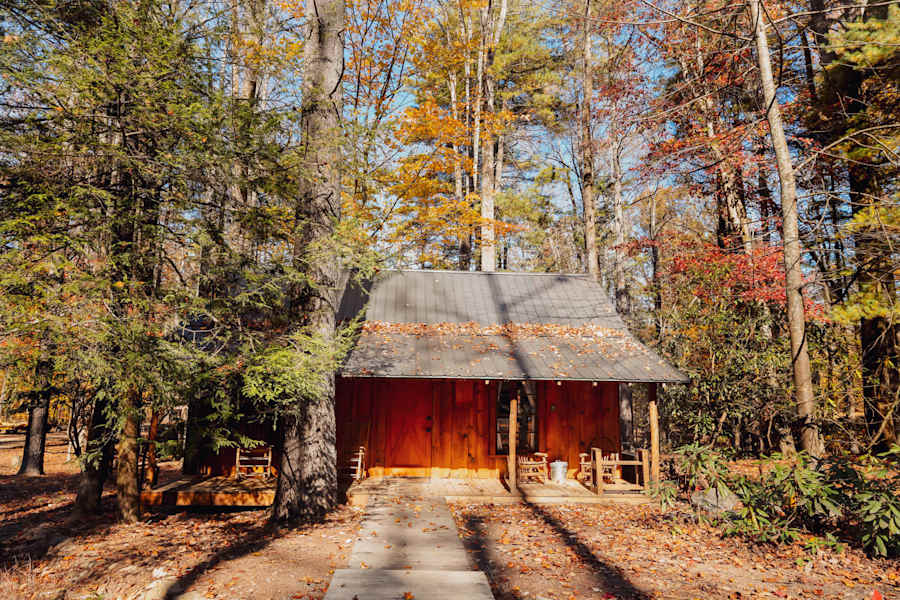 Cabin 6