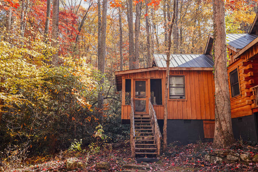 Cabin 7
