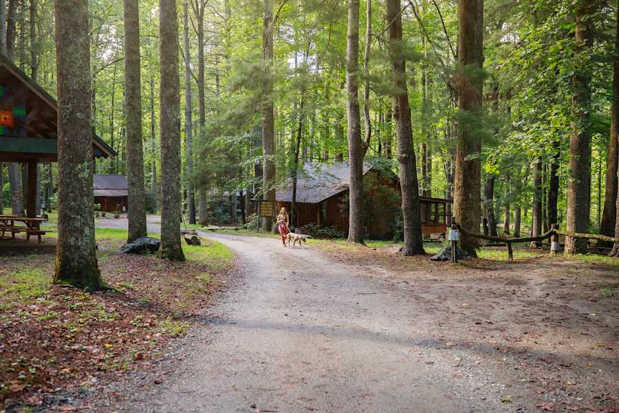 South Fork photo 23