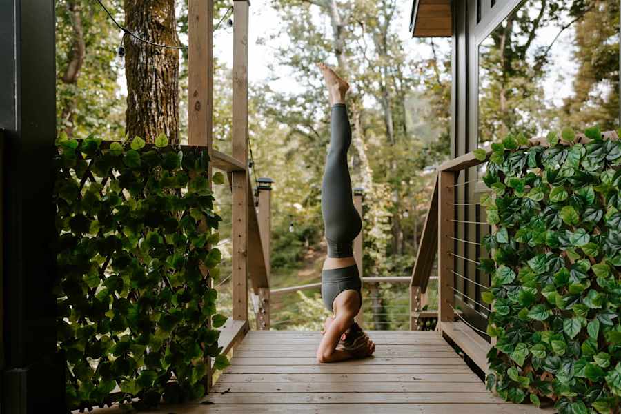Live Oak Treehouse photo 58