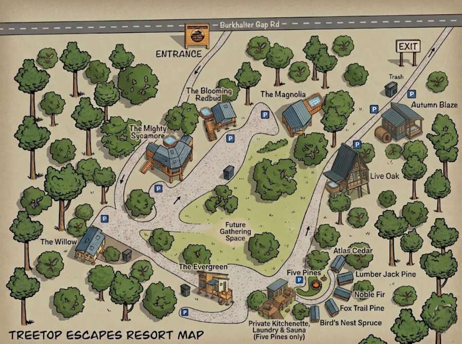 The Evergreen Treehouse photo 49